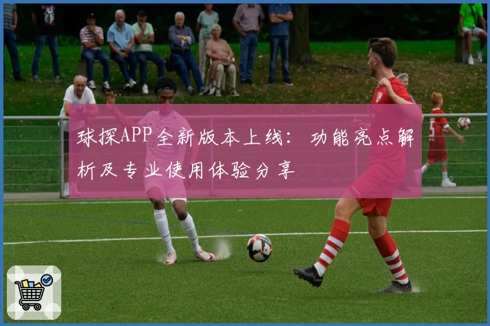 球探APP全新版本上线:功能亮点解析及专业使用体验分享