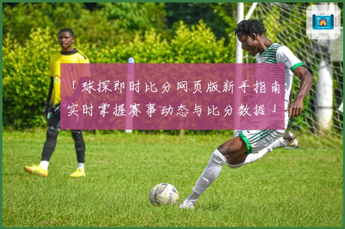 「球探即时比分网页版新手指南：实时掌握赛事动态与比分数据」